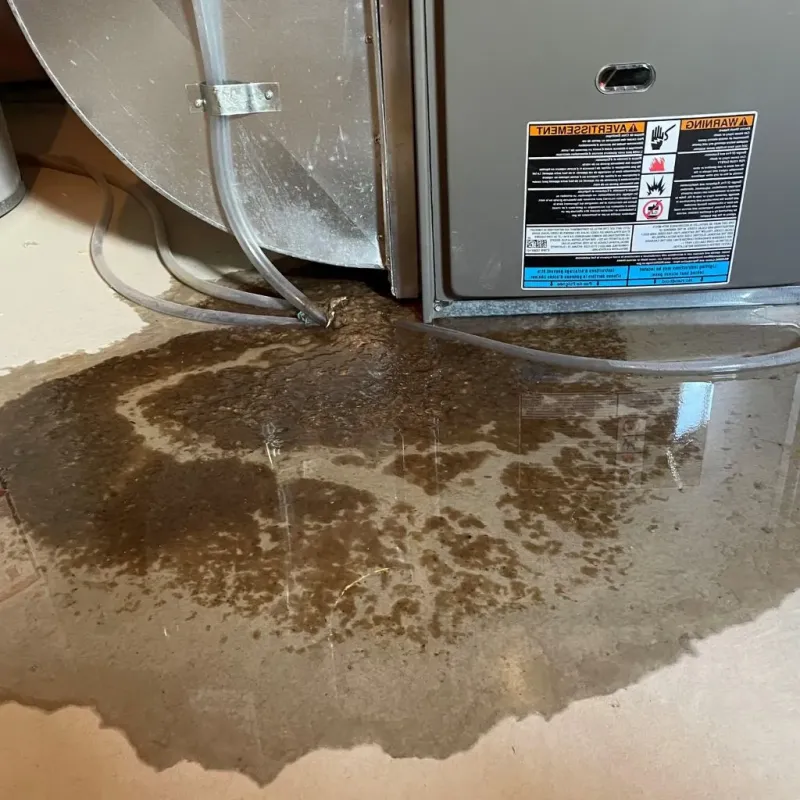 Pipe Burst and Leak Restoration in Apache, OK