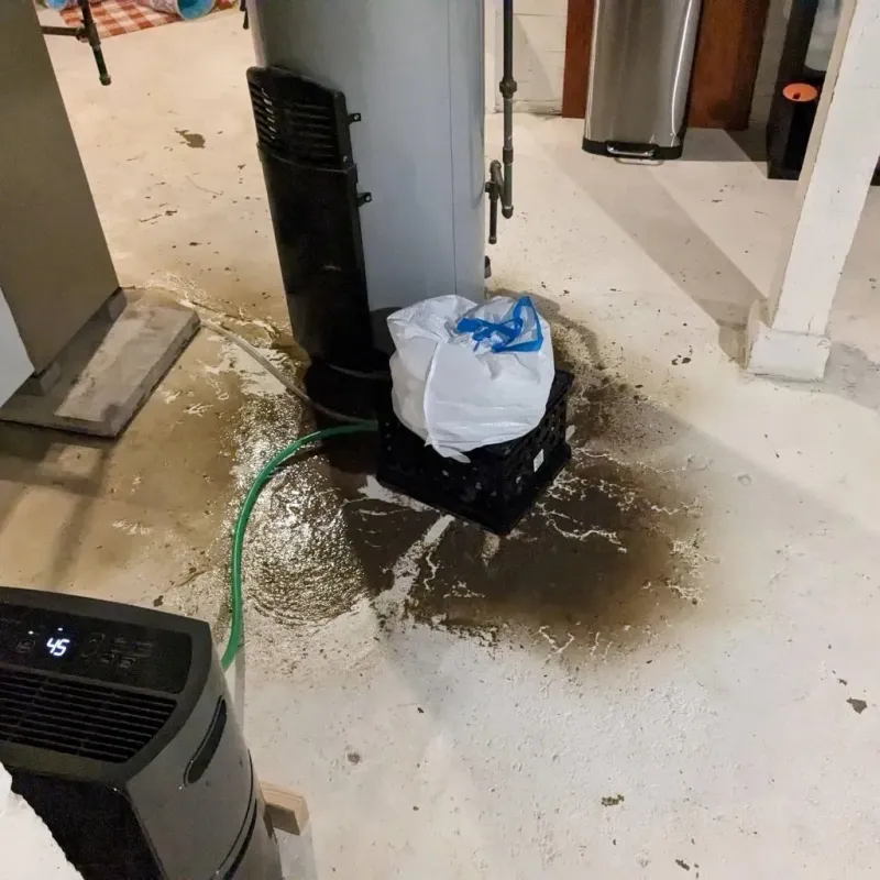 Sewage Backup Cleanup Service in Apache, OK